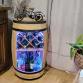 Minibar z pilotem i regulowanym oświetleniem.webp
