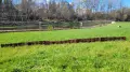 naturalny płot wiklinowy do kwiatów.webp